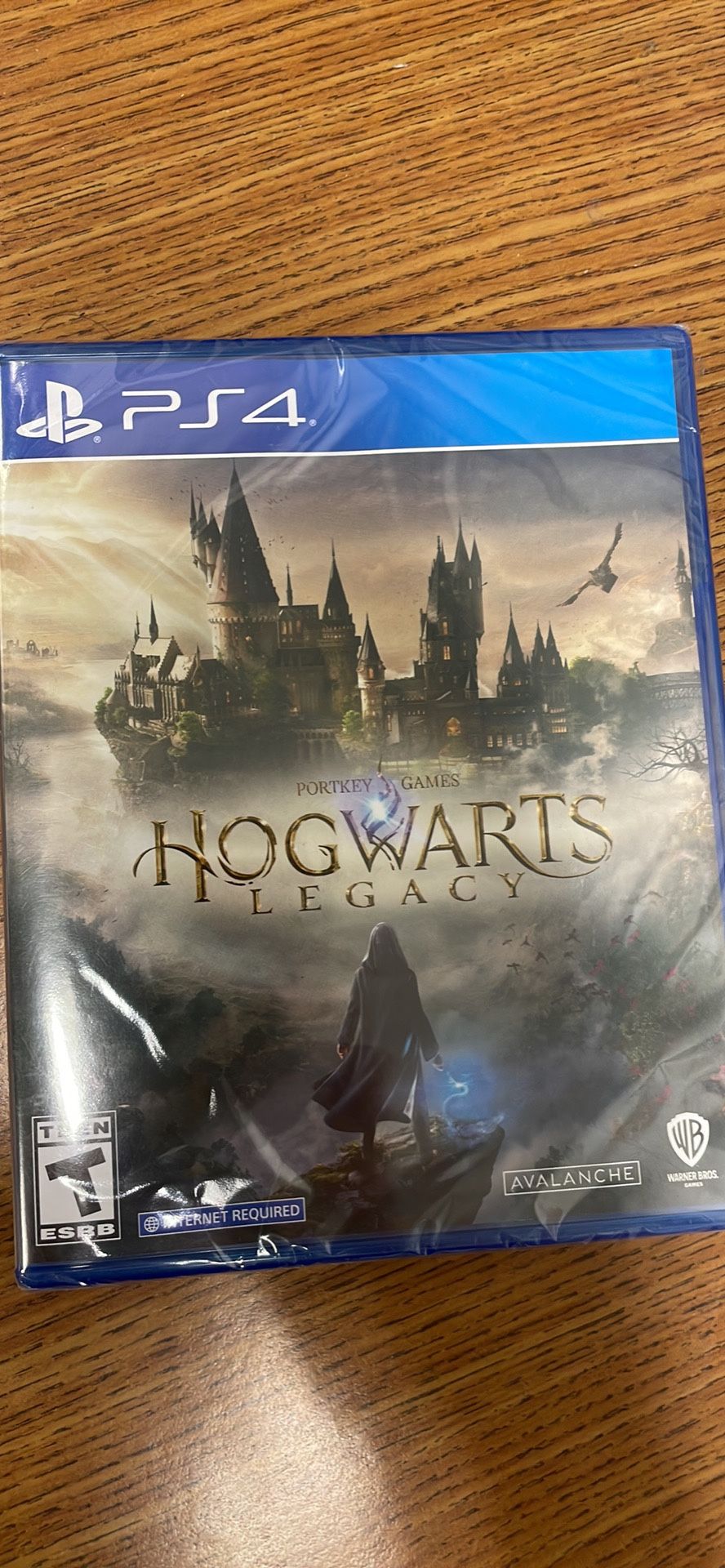 Hogwarts Legacy