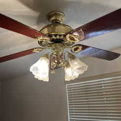 Celing Fan