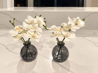 Set of 2 Artificial White Orchid Arrangements in Smoky Gray Glass Vases