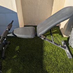 Bench Press And 40lb Weights