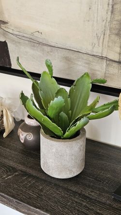 ARTIFICIAL Cactus Plant With Pot