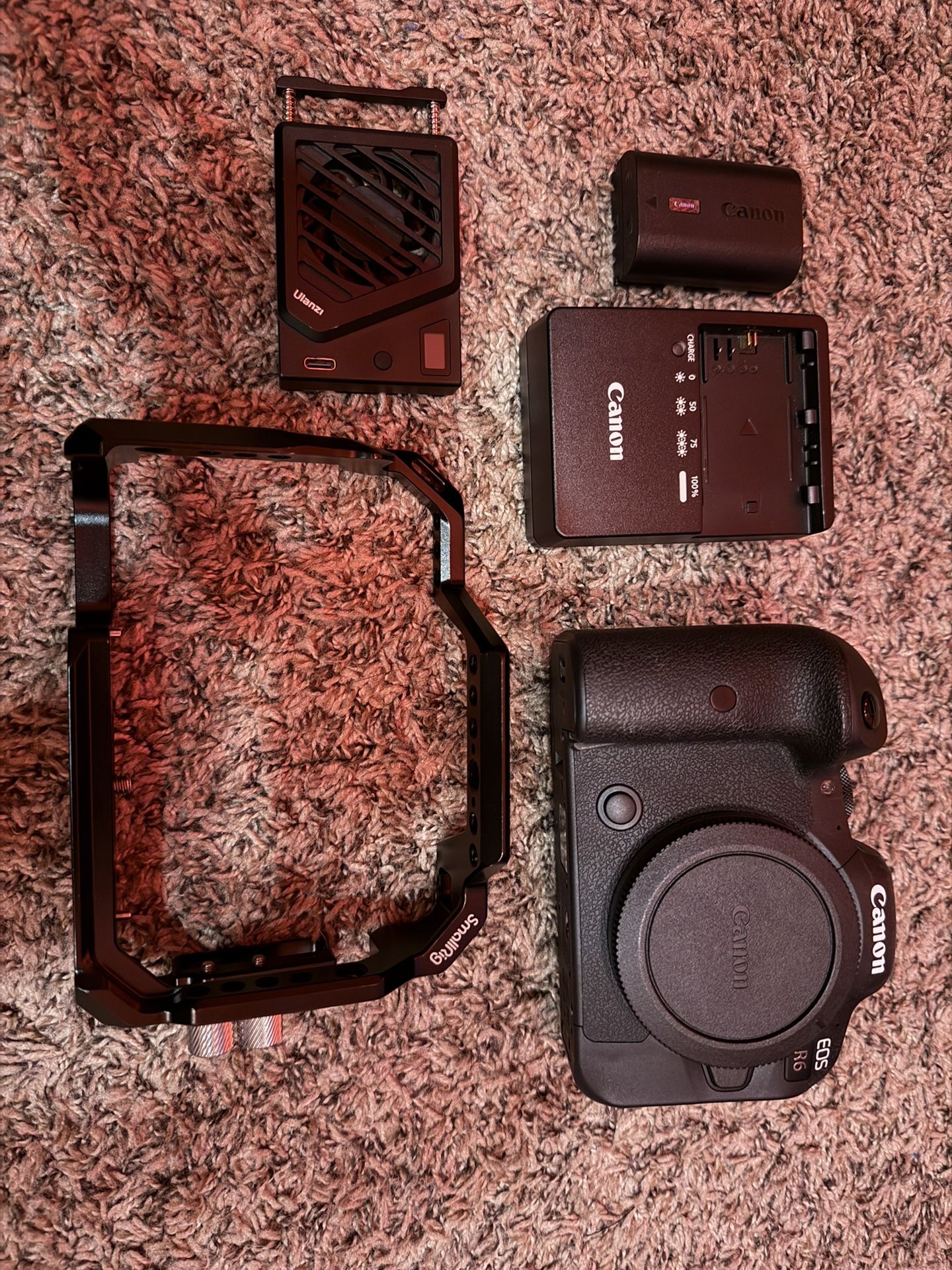 Canon R6 Camera Body