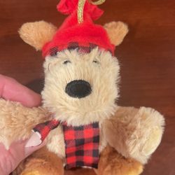Teddy Bear