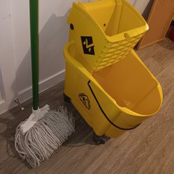Industrial Mop Bucket with Mop