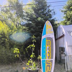 Paddle Board Hard Shell Used 
