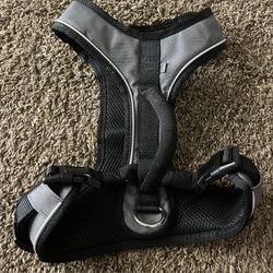 Medium Petsafe Easysport Harnesses