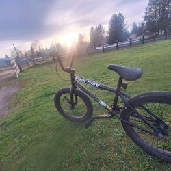 Matt Black 20 Inch Kink Bmx, Van X Cult Grips