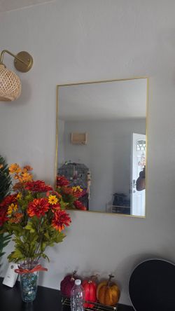28"x20" Entryway mirror