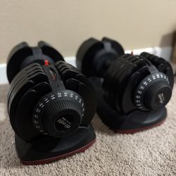 66 Lb Adjustable Dumbbell Set w/ Stand