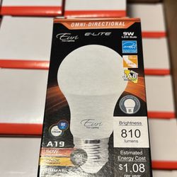 Light Bulbs (Case)