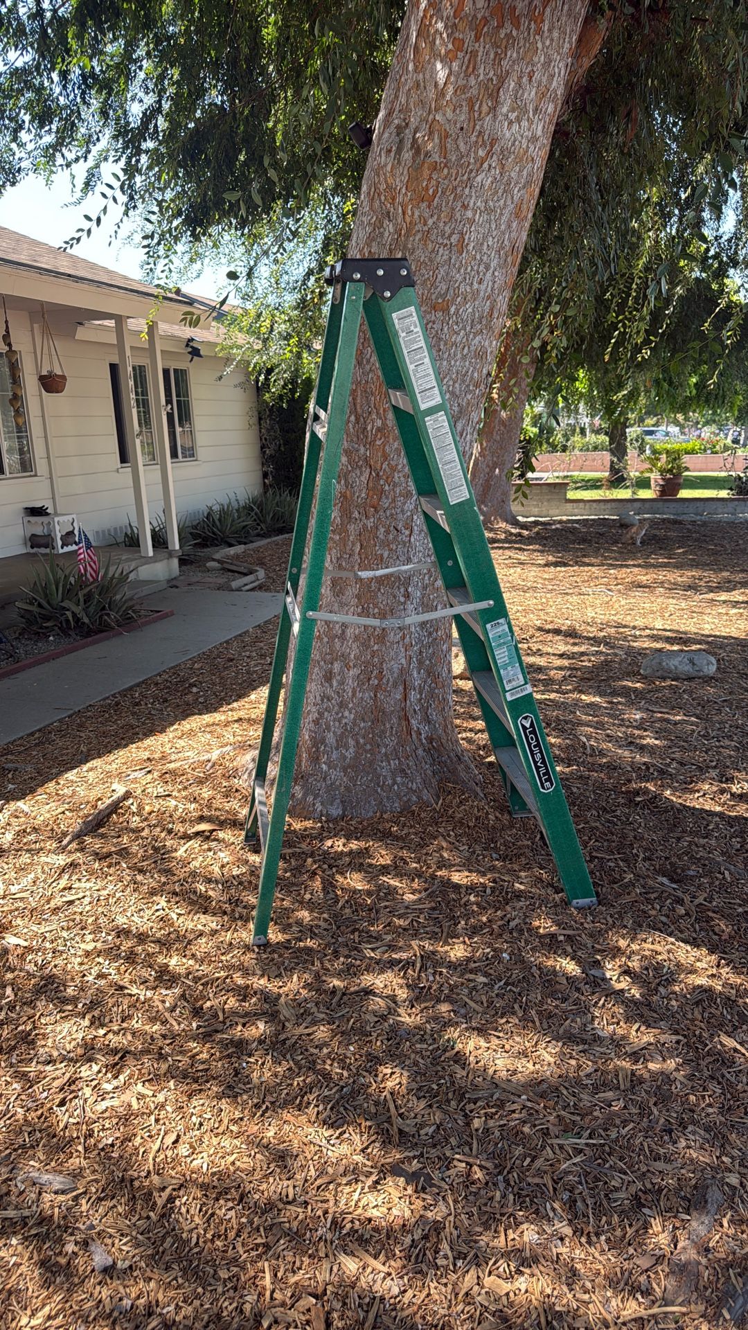 Fiberglass Ladder