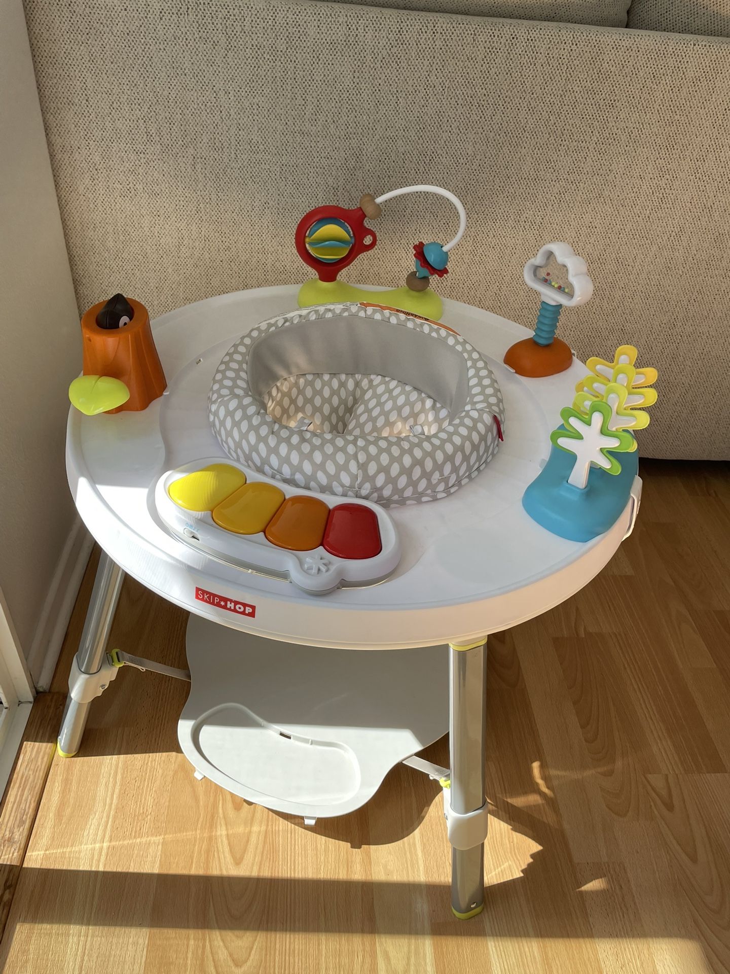 Skip Hop Activity Center Baby Toy