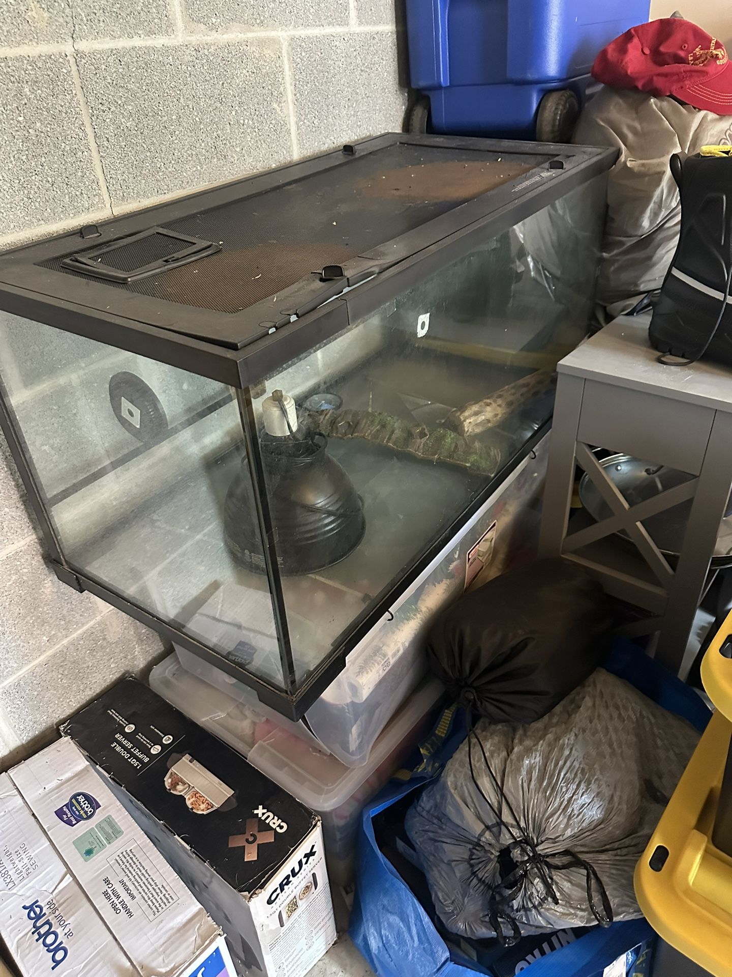 42 Gallon Terrarium