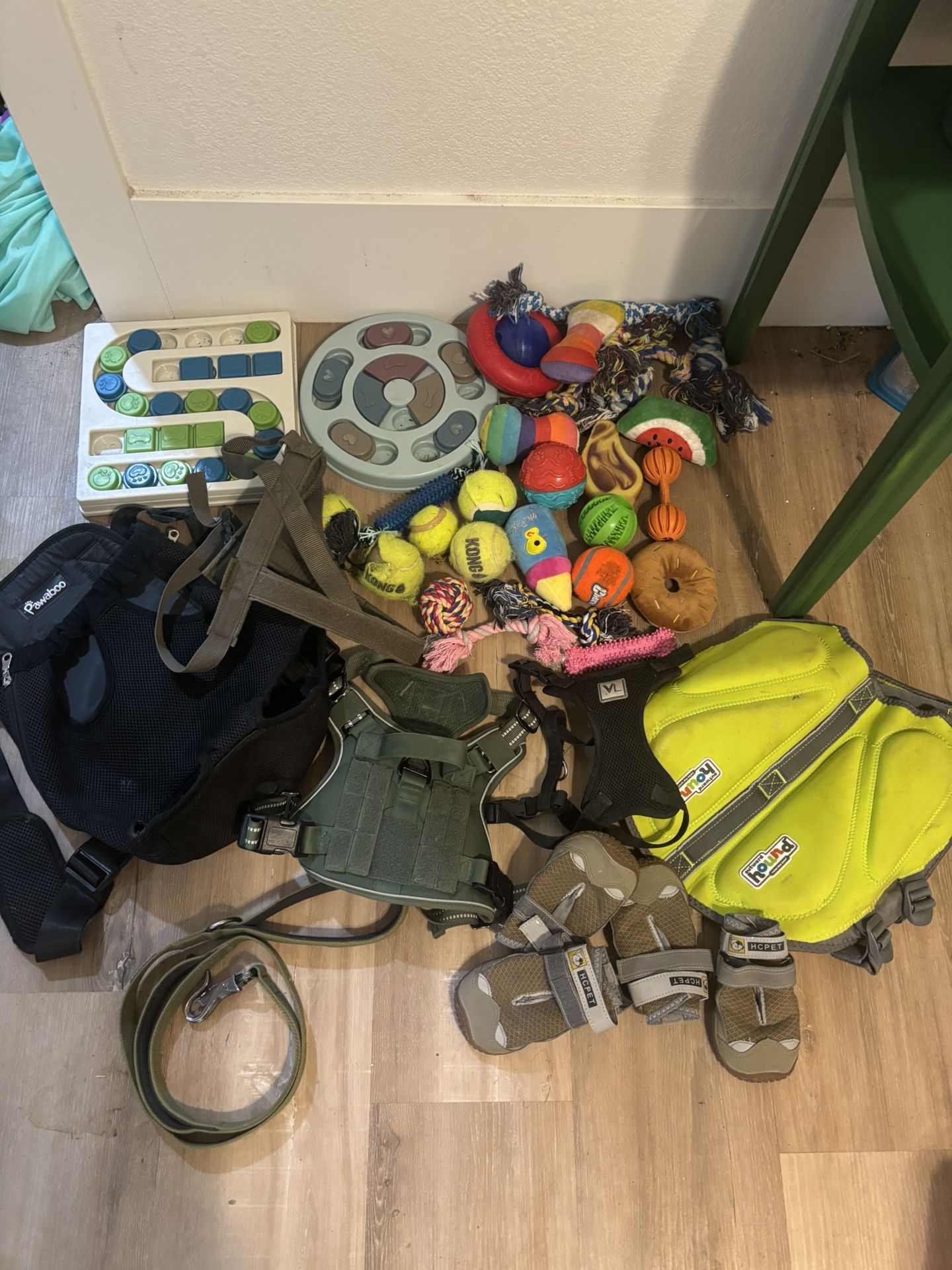 dog puppy pack