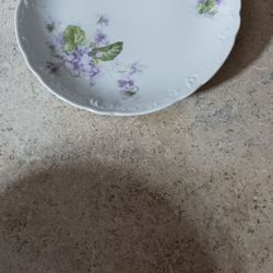 Vintage porcelain plate