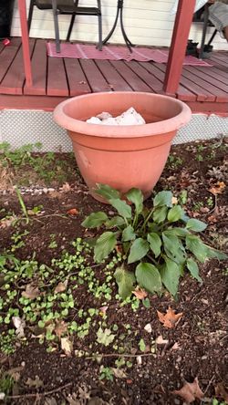 Large Terracotta Garden Planter Pot light weight