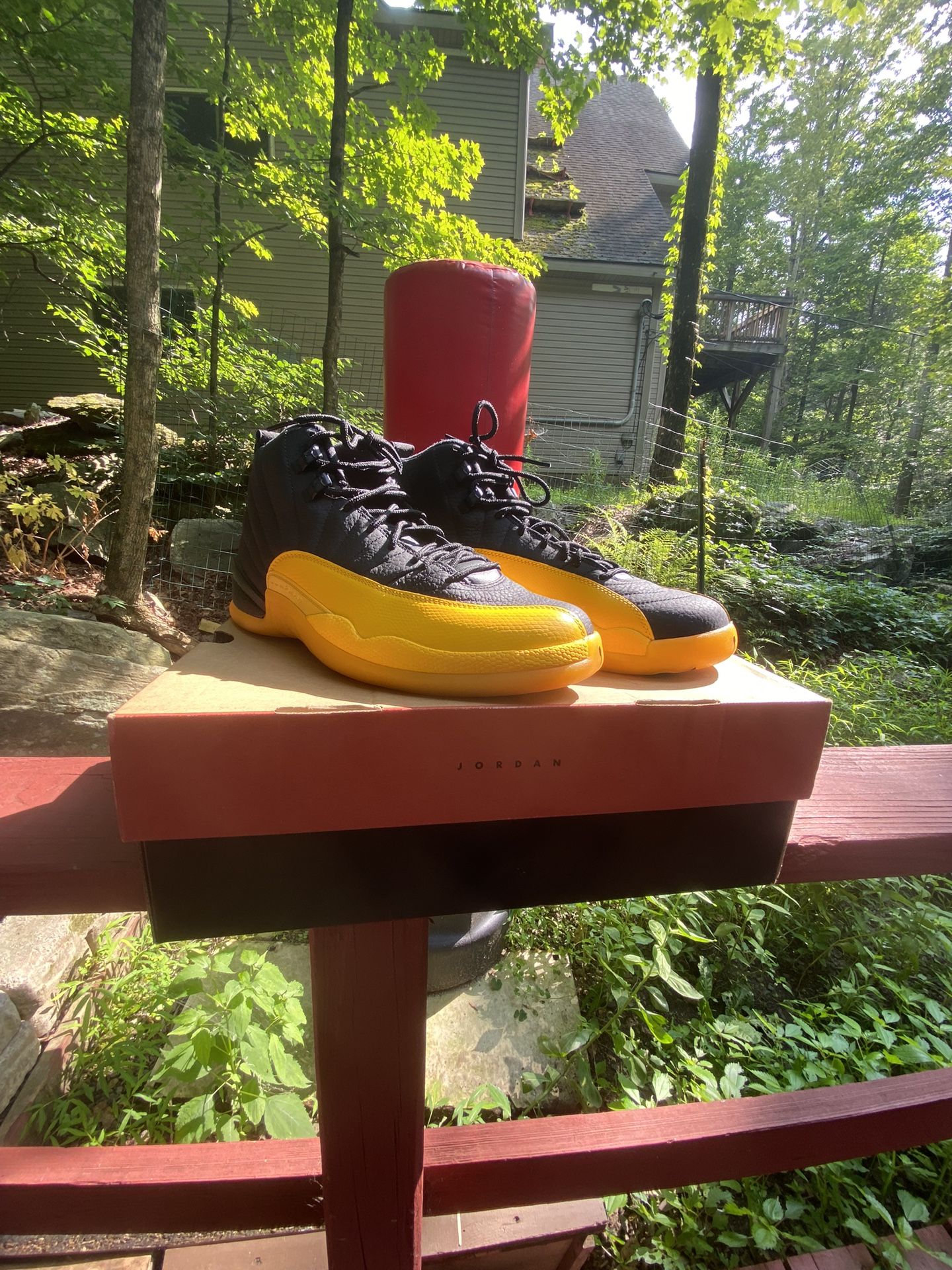 Air Jordan 12 Retro