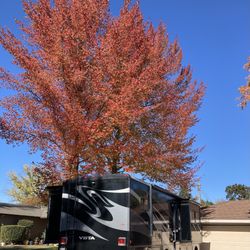2013 Winnebago Vista 30t