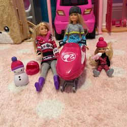 Barbie Sisters Snow Fun