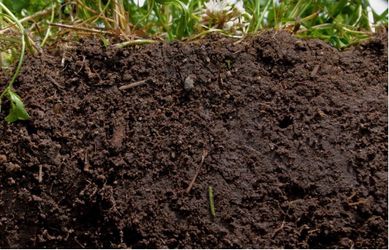 FREE CLEAN SOIL WHITTIER LA HABRA FULLERTON