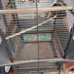 Large Bird Cage, Obo