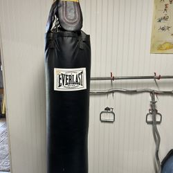 Everlast Vinyl Punching Bag