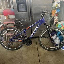 Schwinn Ranger Adult Bike