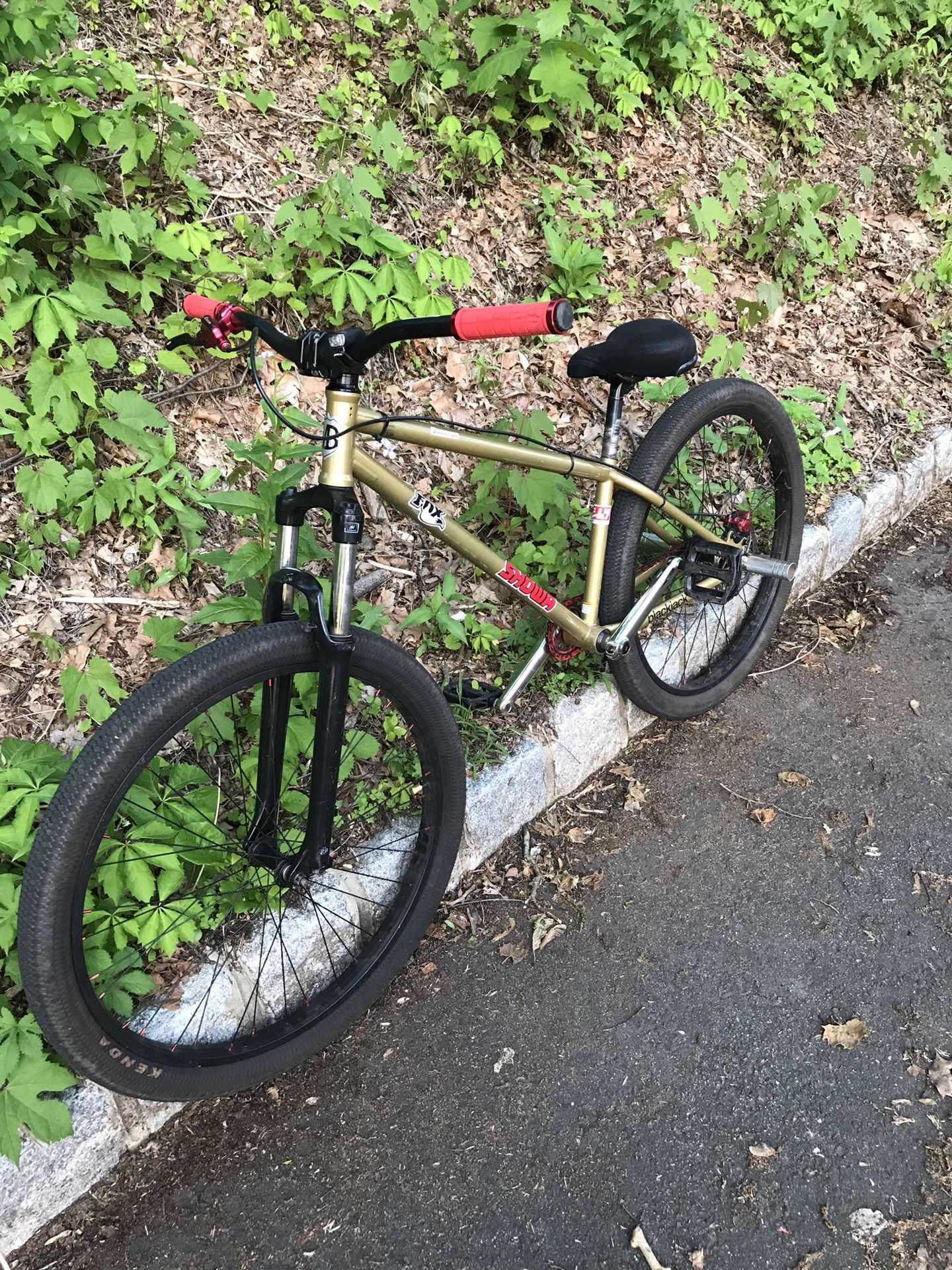 blackjack mafia bike