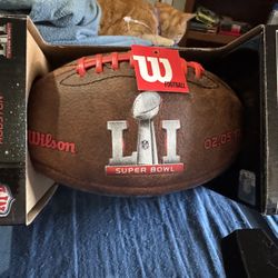 NFL Superbowl LI Houston