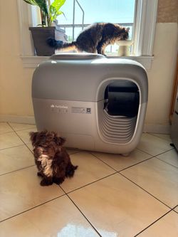 PetSnowy Automatic Cat Litter