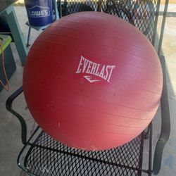 Exercise Ball