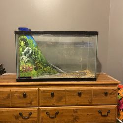 30 Gallon Fish Tank & Accessories