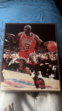Michael Jordan picture