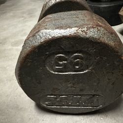 90lb Dumbbell 