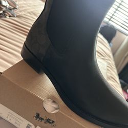 Coach Women Booties 