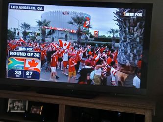 Sony 55in Flat Screen