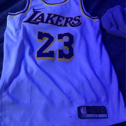 brand new lebron jersey number 23!