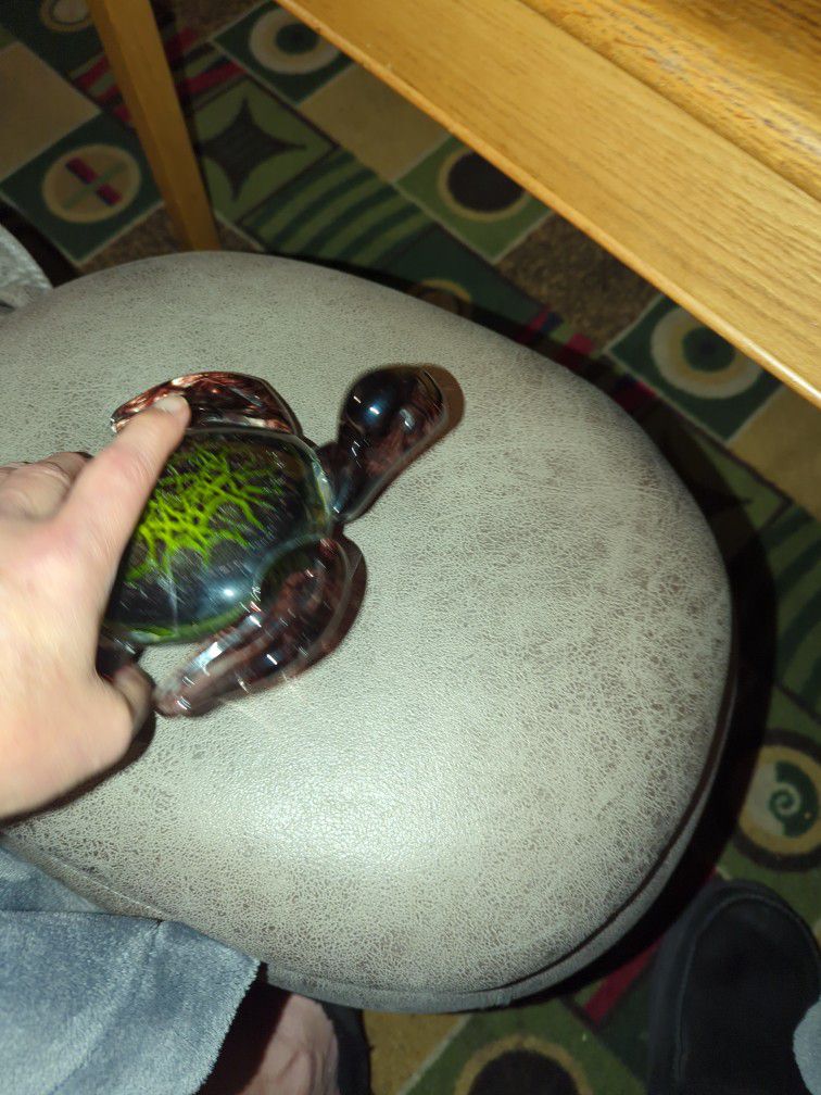 Turtle Glass