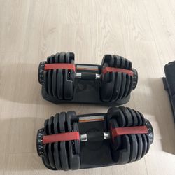 Bowflex Adjustable dumbbells (50lbs)