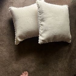 Set Of 2 Throw Pillows