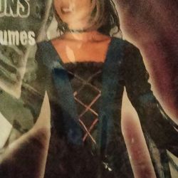 Camelot Princess Costume 