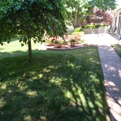 Lawns 