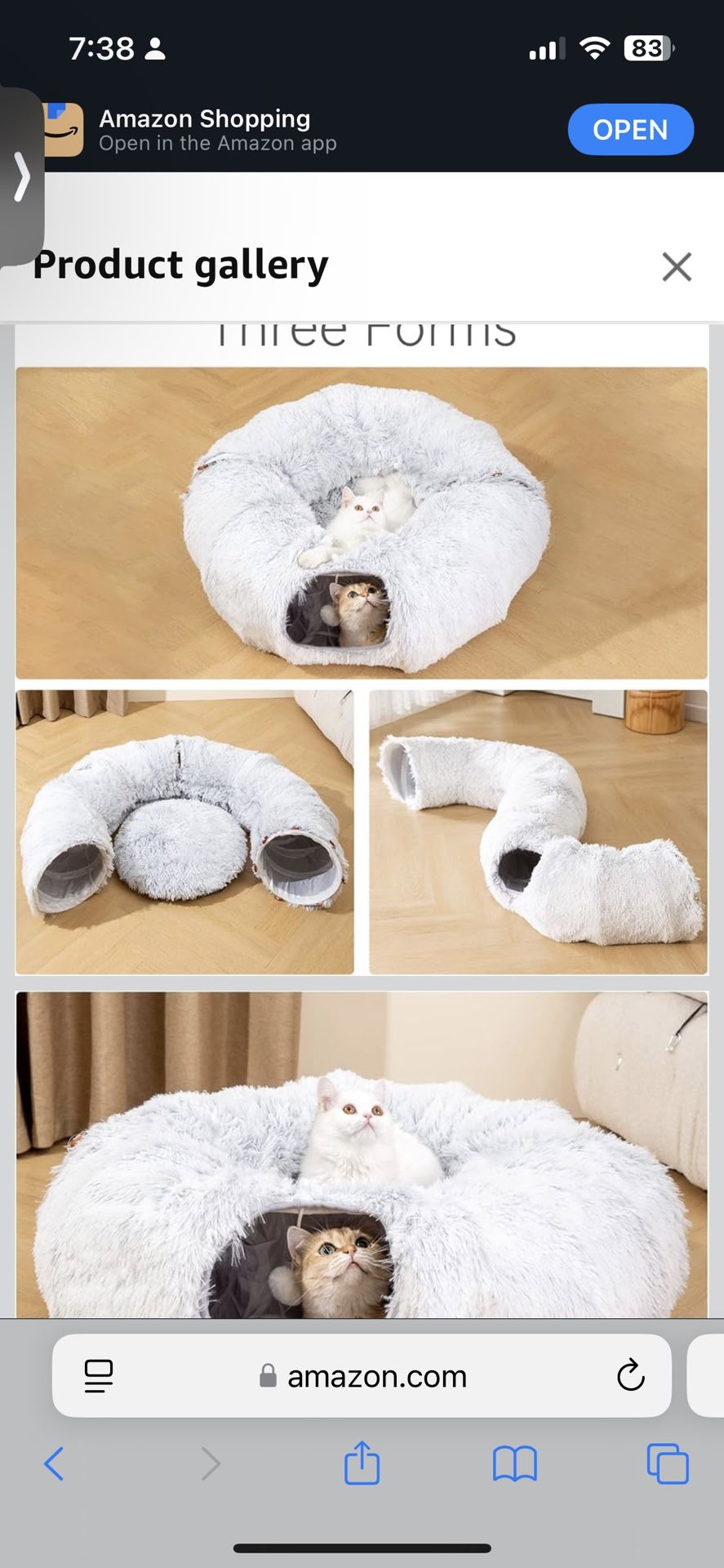 Cat Tunnel