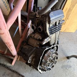 2014 Ninja 300 Engine