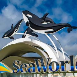 2 Sea World Tickets For Sale 