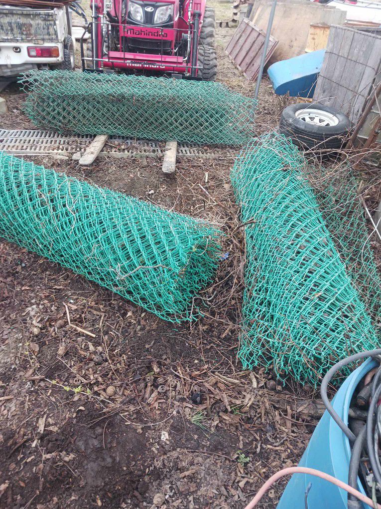 Coated 6ft Tall Chain Link Fence 