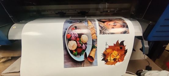 Roland TrueVIS SG2-300 Printer & Cutter