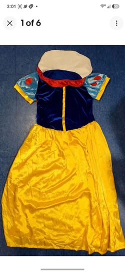 Snow White Princess Costume Dress