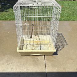 Bird Cage 