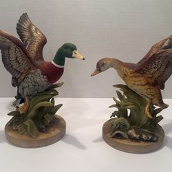 Mullard Ducks